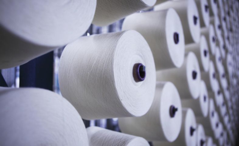 THE EXPORT FILES: KOREA INCREASES PURCHASES OF U.S. COTTON