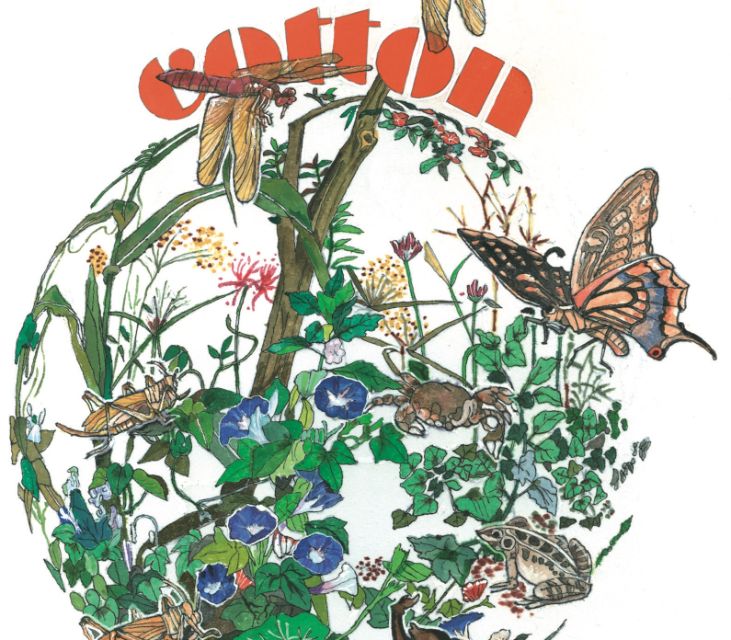 Cotton Day Japan Kicks Off with T-Shirt Design Contest